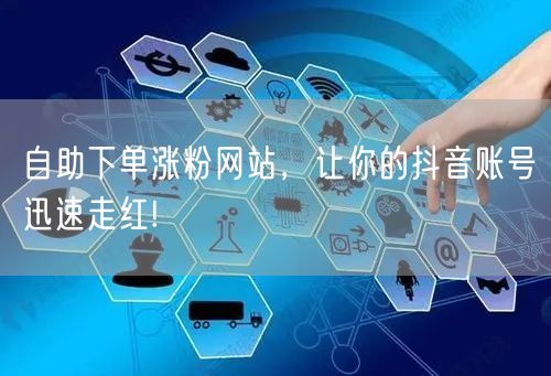 自助下单涨粉网站，让你的抖音账号迅速走红!