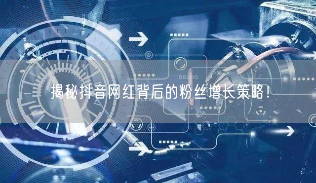 揭秘抖音网红背后的粉丝增长策略！