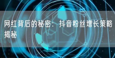 网红背后的秘密：抖音粉丝增长策略揭秘