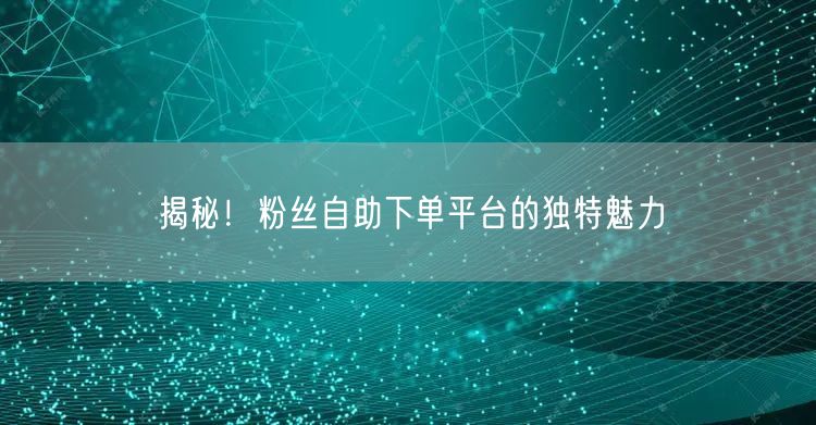 揭秘！粉丝自助下单平台的独特魅力