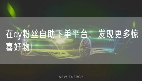 在dy粉丝自助下单平台，发现更多惊喜好物！