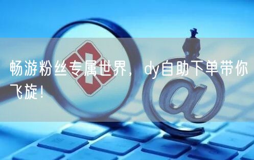 畅游粉丝专属世界，dy自助下单带你飞旋！
