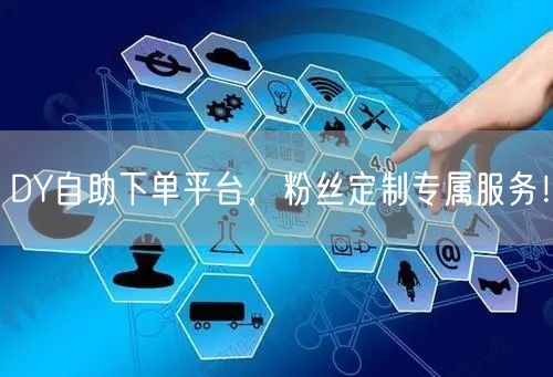 DY自助下单平台，粉丝定制专属服务！