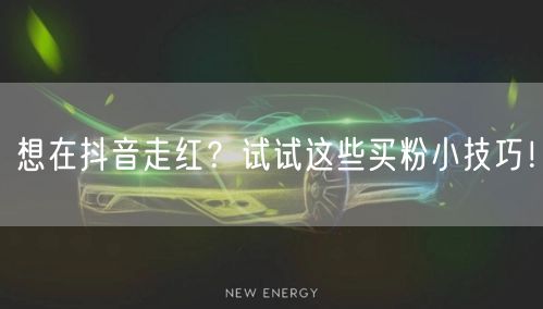 想在抖音走红？试试这些买粉小技巧！