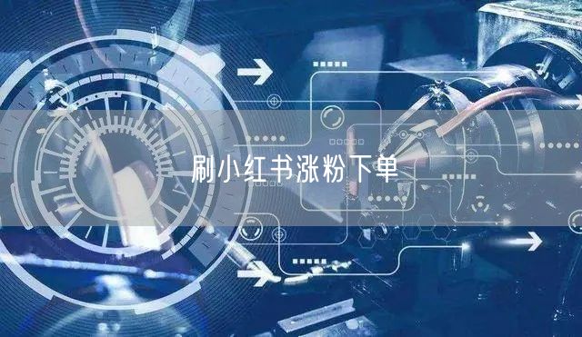 刷小红书涨粉下单