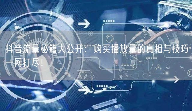 抖音流量秘籍大公开：购买播放量的真相与技巧一网打尽！