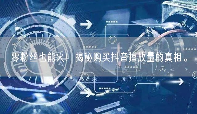 零粉丝也能火！揭秘购买抖音播放量的真相。