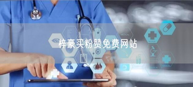 梓豪买粉赞免费网站